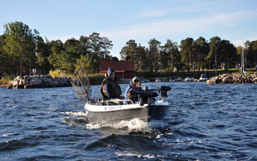 Gädd -och abborrfiske vid Oknö – sept 2021